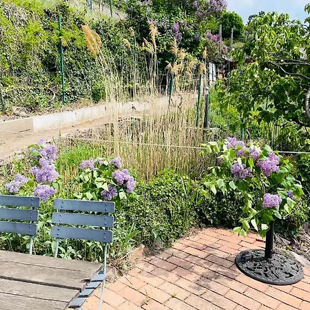 Am Elberadweg Мейсен