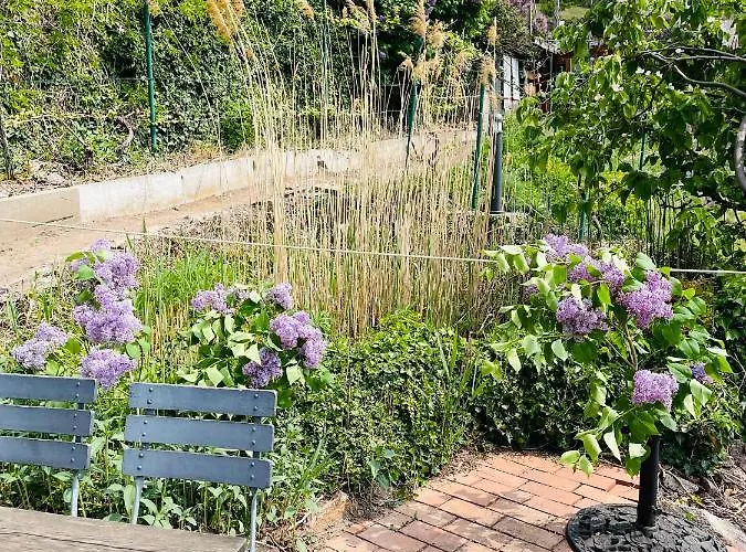 Am Elberadweg Meißen